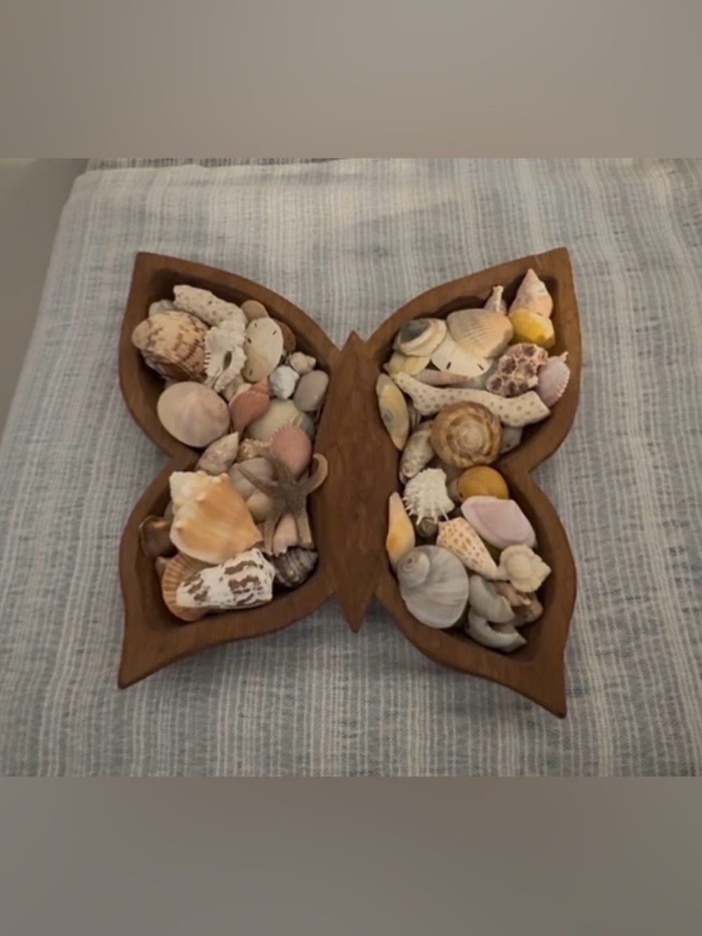 Hand carved wood butterfly display tray, w/genuine FL shells